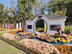 -上海共青森林公园