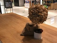 -代数学家algebraist(诚品店)