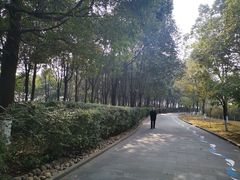 -成都南湖公园