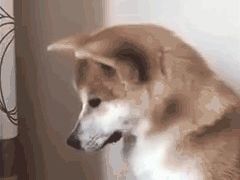 -李老爹香辣蟹(宣武门店)