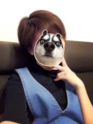 -大象造型