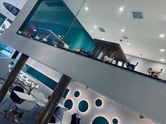 -飞行喵MR PILOT|猫舍·猫咖(静安大融城店)