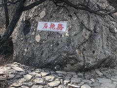 -阳台山自然风景区