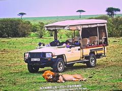 -罗红摄影艺术馆