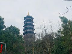 -重庆园博园