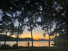 -顺峰山公园