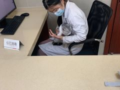 -艾贝尔宠物医院 ·内科全科(梁溪路店)