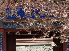 -石岛赤山风景区