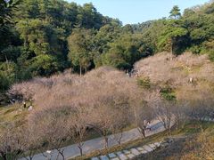 -广州市白云山风景名胜区