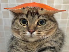 -和平大戏院(凯旋路店)