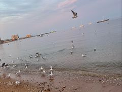 -兴城海滨风景区