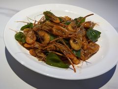 -金锅小厨(乐活街店)