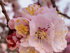 -鹫峰国家森林公园