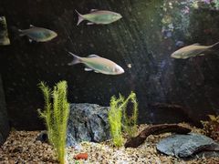 -上海海洋水族馆