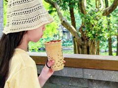 -深圳国际园林花卉博览园