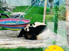 -鄂尔多斯野生动物园