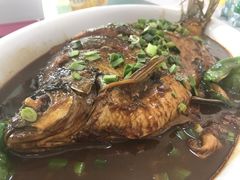 红烧大鳊鱼-芸海阁·农家私房菜(沙家浜景区出口店)