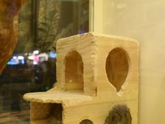 -龙猫仔乐园(惠福东路店)