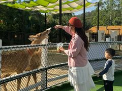 -清远熹乐谷温泉度假酒店