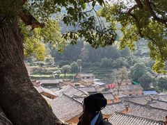 -杨家堂村