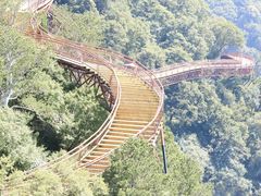 -少华山国家森林公园