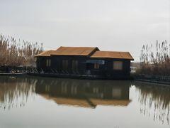 -宁波杭州湾国家湿地公园