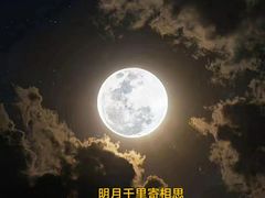 -鑫明明拉面(宁化路店)