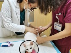 -宠颐生维康宠物医院(金丰店)