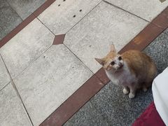 -拿福食府(广大路店)