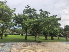 -万绿园