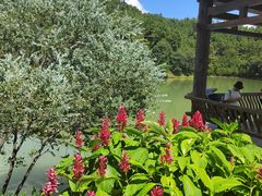 -广州白江湖森林公园