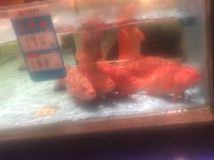 -阿伟海鲜楼·福建菜(延寿店)
