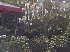 -奥帕拉拉水公园