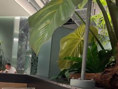 -芸山季·云南山珍菌火锅(南翔印象城MEGA店)