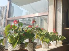 -兰州老马食府(小潞邑店)