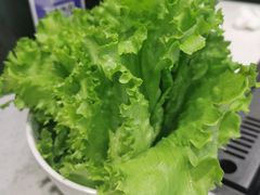 -韩时烤肉(丰科万达广场店)