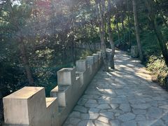 -磬锤峰森林公园