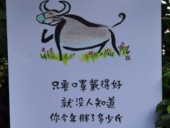 -板樟山森林公园