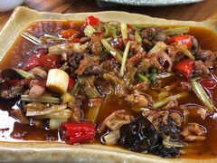 -青城甲(青城山店)