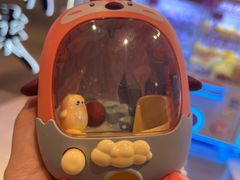 -淮扬韵(市政府汉神店)