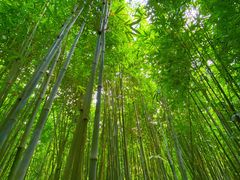-武汉姚家山旅游景区