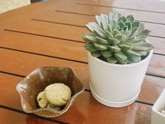 -三亚海棠湾喜来登度假酒店大堂吧