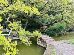 -江心屿景区