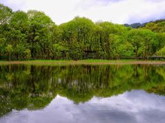 -西湖风景区-江洋畈生态公园