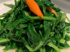 清炒豌豆尖-106餐厅(山水文园店)