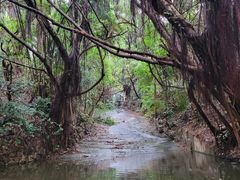 -燕晗山郊野公园