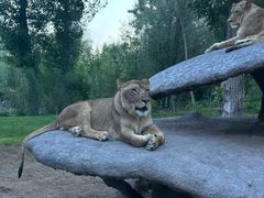 -北京野生动物园