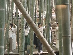 -苏州环秀晓筑养生度假村