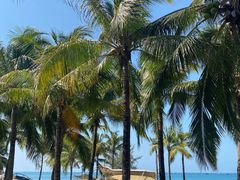 -三亚西岛海洋文化旅游区