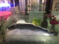 -三亚胜意海景酒店·海鲜自助餐厅(三亚湾路店)
